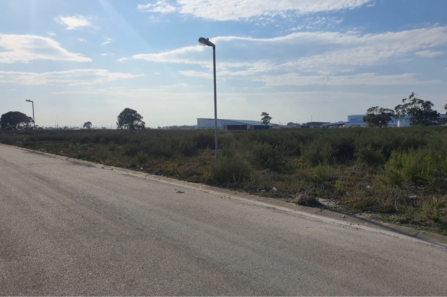 0 Bedroom Property for Sale in Greenbushes Eastern Cape